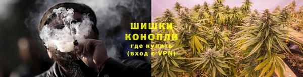дмт Белокуриха